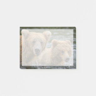 Niedliche Kleintiere Mama Bear & Ihre Cubs Post-it Klebezettel