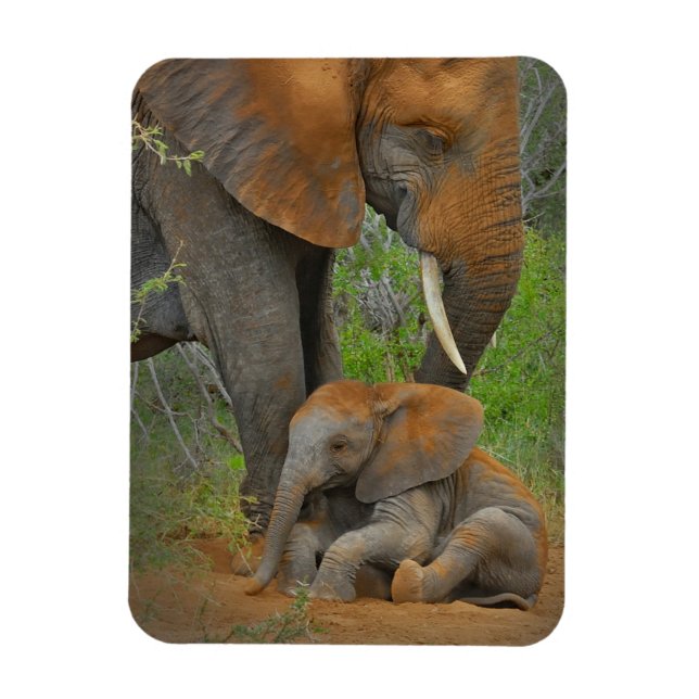 Niedliche Kleintiere | Mama Elephant & Baby Magnet (Vertikal)