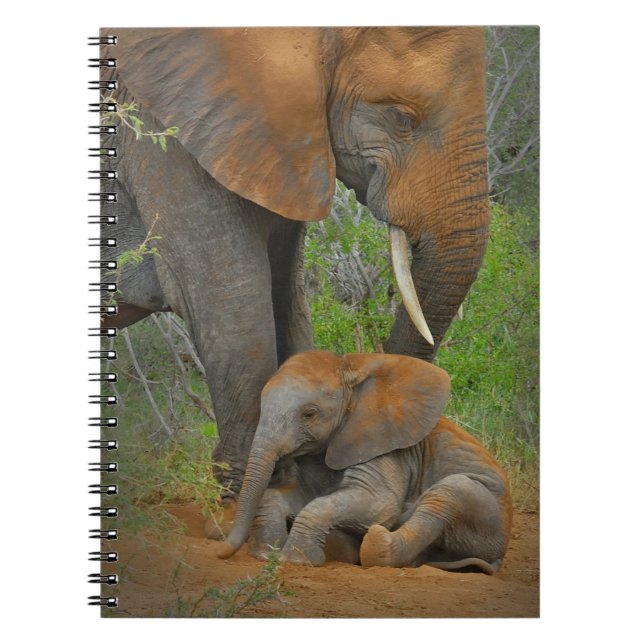 Niedliche Kleintiere | Mama Elephant & Baby Notizblock (Vorderseite)