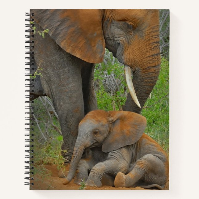 Niedliche Kleintiere | Mama Elephant & Baby Notizbuch (Vorderseite)