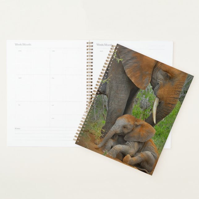 Niedliche Kleintiere | Mama Elephant & Baby Planer (Anzeige)