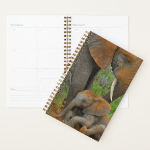 Niedliche Kleintiere   Mama Elephant & Baby Planer