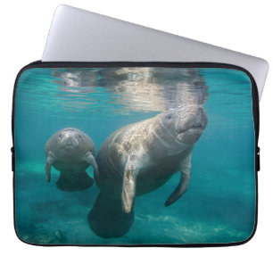 Niedliche Kleintiere   Manatee & Baby Laptopschutzhülle