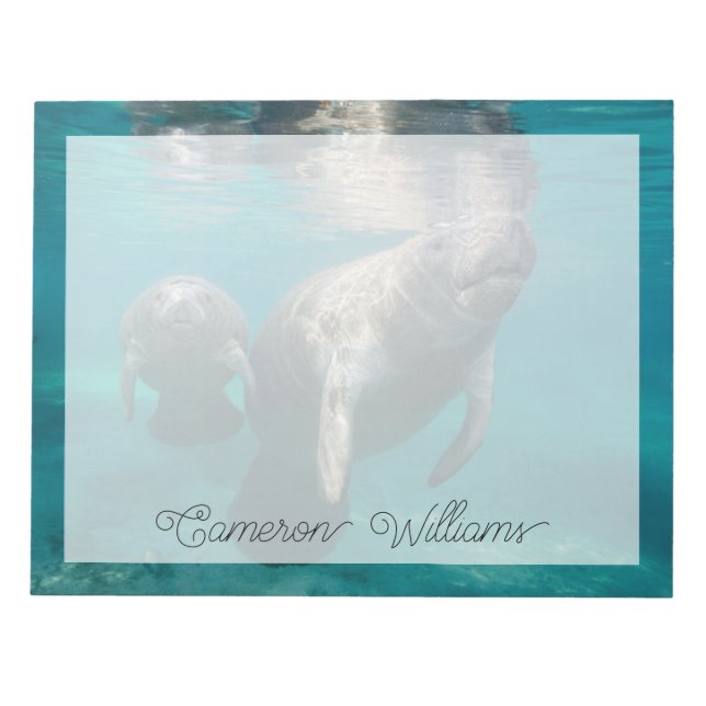 Niedliche Kleintiere | Manatee & Baby Notizblock (Vorderseite)