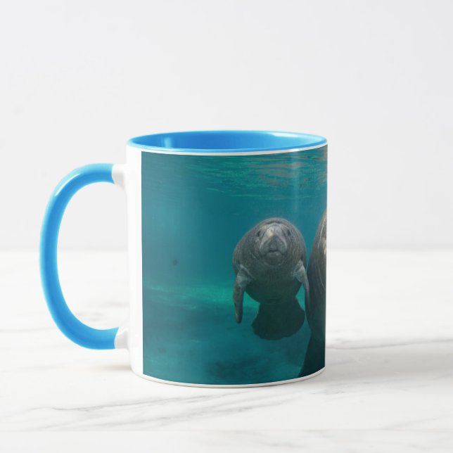 Niedliche Kleintiere | Manatee & Baby Tasse (Links)