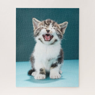 Niedliche Kleintiere Meaning Baby Kitten