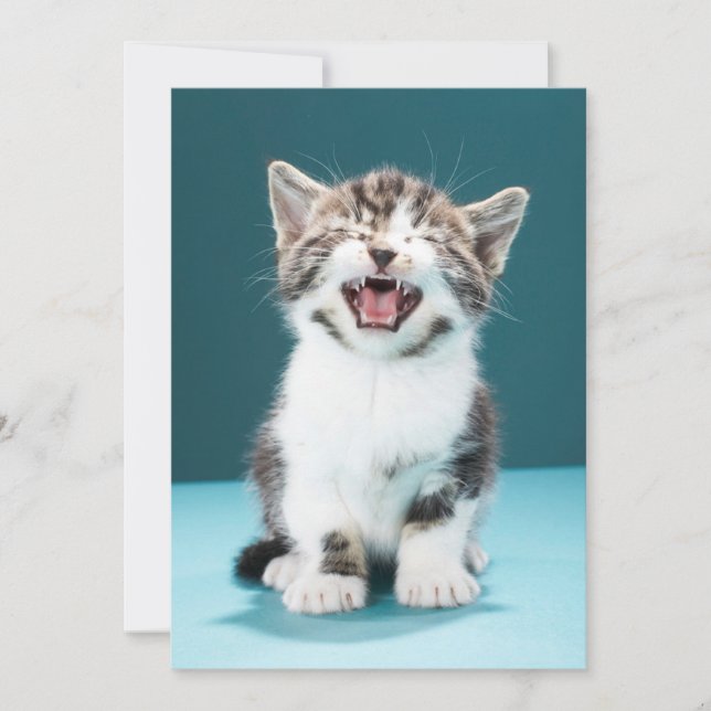 Niedliche Kleintiere | Meaning Baby Kitten Dankeskarte (Vorderseite)