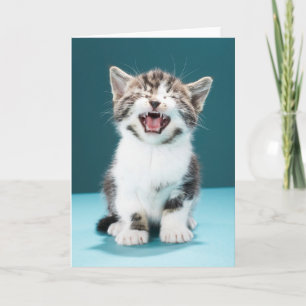 Niedliche Kleintiere Meaning Baby Kitten Karte