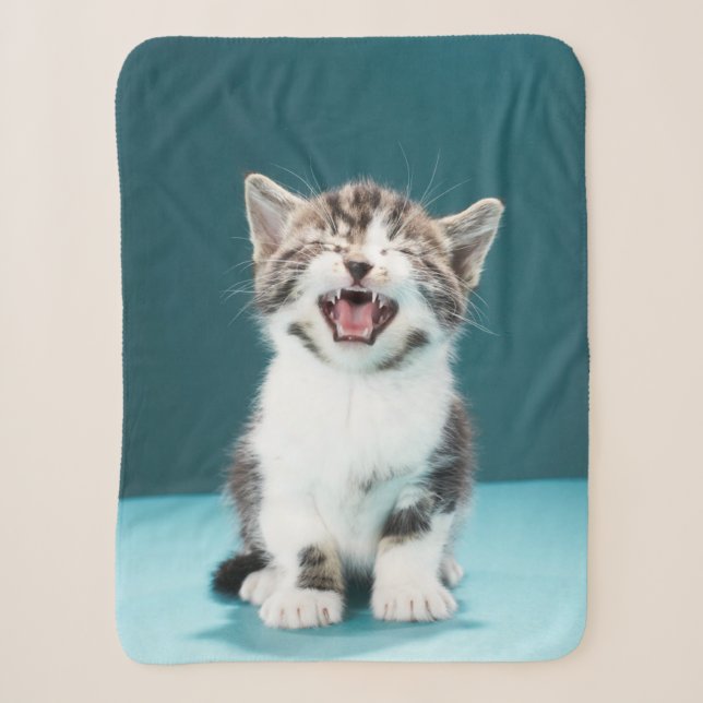 Niedliche Kleintiere | Meaning Baby Kitten Sherpadecke (Vorderseite)