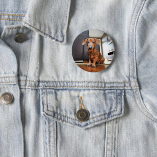 Niedliche Kleintiere   Mini-Dackel Welpe Button