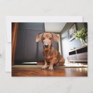 Niedliche Kleintiere   Mini-Dackel Welpe Dankeskarte