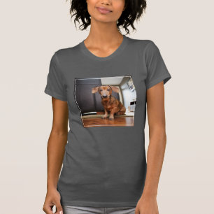 Niedliche Kleintiere   Mini-Dackel Welpe T-Shirt