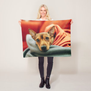 Niedliche Kleintiere Miniature Pinscher Fleecedecke