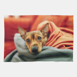 Niedliche Kleintiere Miniature Pinscher Geschirrtuch
