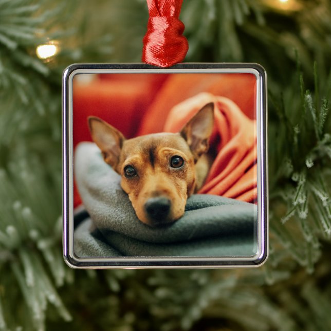 Niedliche Kleintiere | Miniature Pinscher Ornament Aus Metall (Baum)
