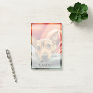 Niedliche Kleintiere   Miniature Pinscher Post-it Klebezettel