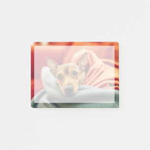 Niedliche Kleintiere Miniature Pinscher Post-it Klebezettel