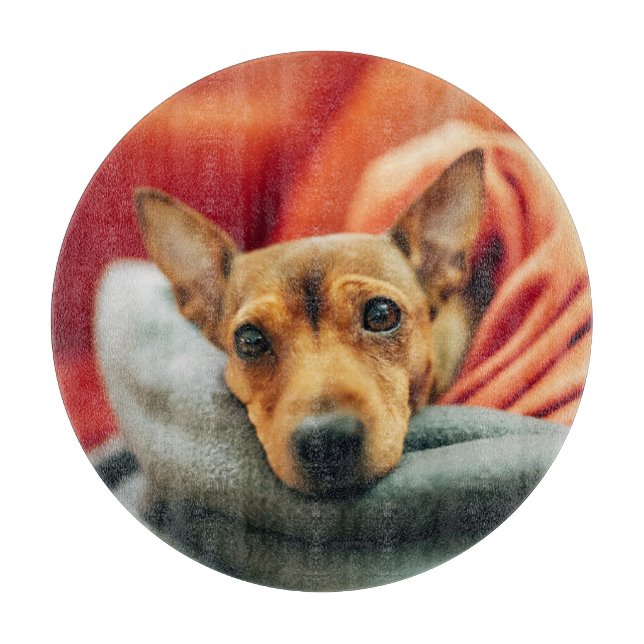 Niedliche Kleintiere | Miniature Pinscher Schneidebrett (Vorderseite)