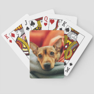 Niedliche Kleintiere Miniature Pinscher Spielkarten