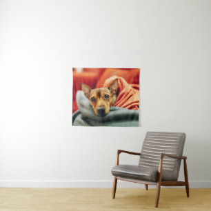 Niedliche Kleintiere   Miniature Pinscher Wandteppich