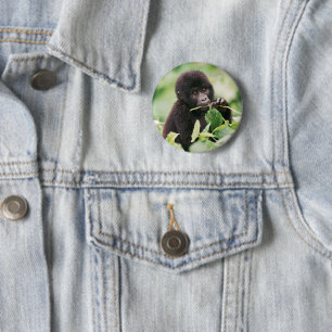 Niedliche Kleintiere   Mountain Gorilla Baby Button