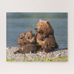 Niedliche Kleintiere   Mutter Bären & Cubs