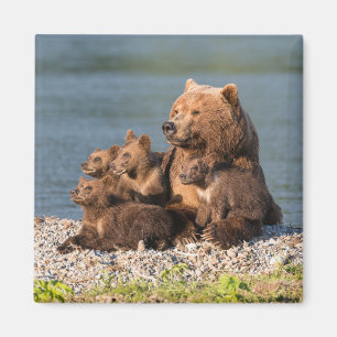 Niedliche Kleintiere   Mutter Bären & Cubs Magnet