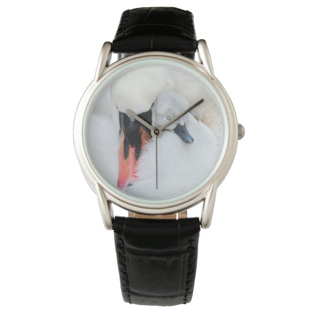 Niedliche Kleintiere | Mutter und Baby Mute Swan Armbanduhr (Vorderseite)
