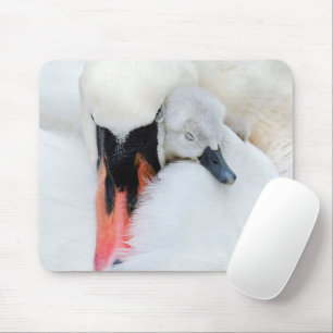 Niedliche Kleintiere Mutter und Baby Mute Swan Mousepad