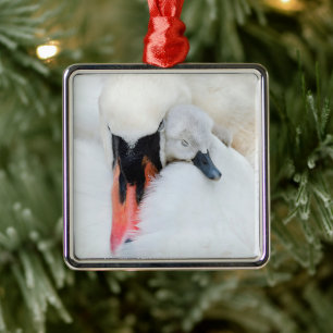 Niedliche Kleintiere   Mutter und Baby Mute Swan Ornament Aus Metall