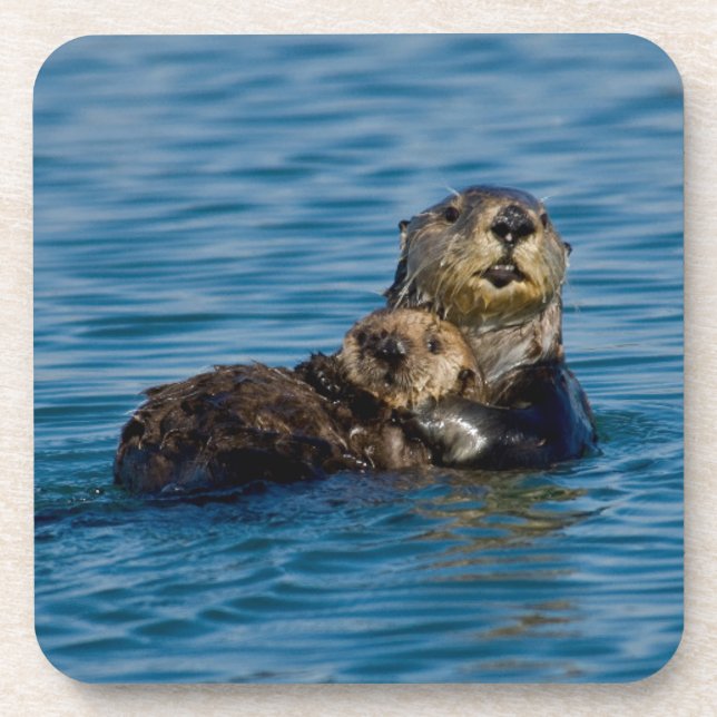 Niedliche Kleintiere | Mutter und Baby Sea Otter Getränkeuntersetzer (Vorderseite)