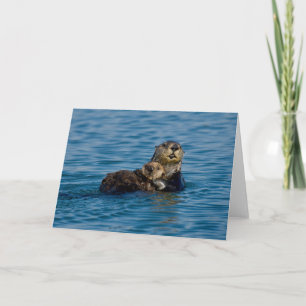 Niedliche Kleintiere Mutter und Baby Sea Otter Karte