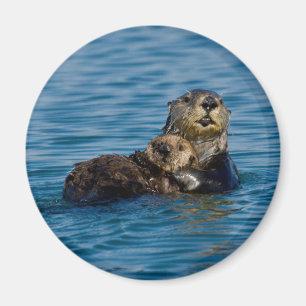 Niedliche Kleintiere   Mutter und Baby Sea Otter Magnet