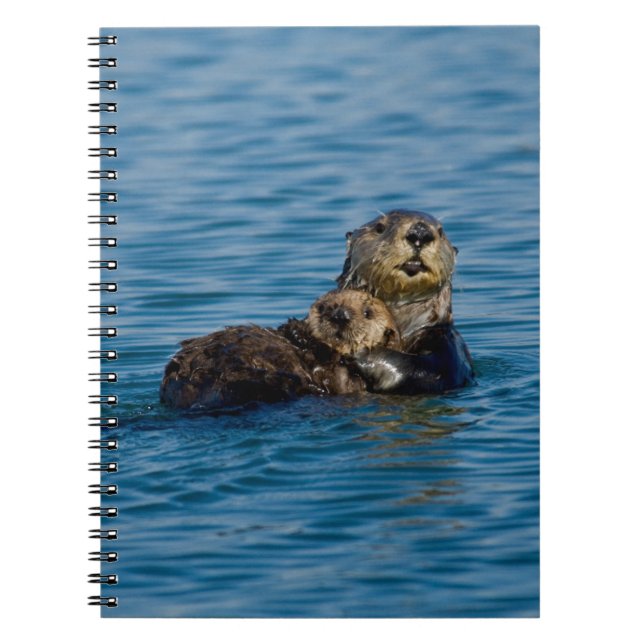 Niedliche Kleintiere | Mutter und Baby Sea Otter Notizblock (Vorderseite)