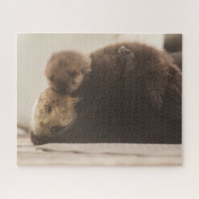 Niedliche Kleintiere | Neugeborene Otter Pup (Horizontal)
