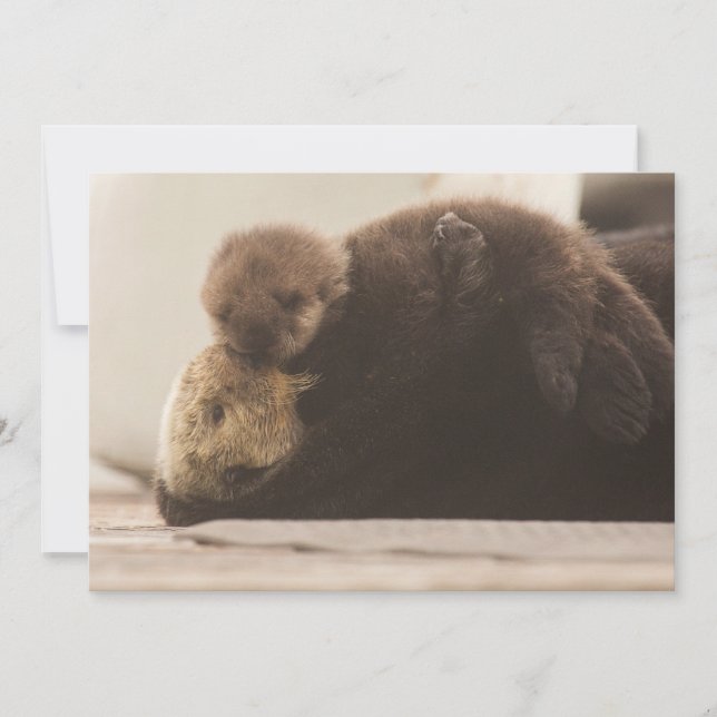 Niedliche Kleintiere | Neugeborene Otter Pup Dankeskarte (Vorderseite)