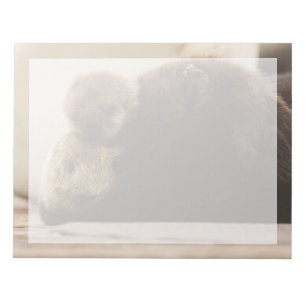 Niedliche Kleintiere Neugeborene Otter Pup Notizblock