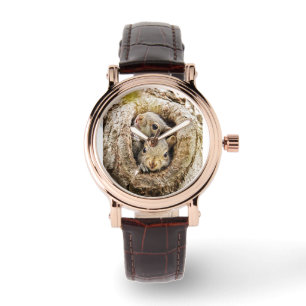 Niedliche Kleintiere   Neugierige Baby-Eichhörnche Armbanduhr