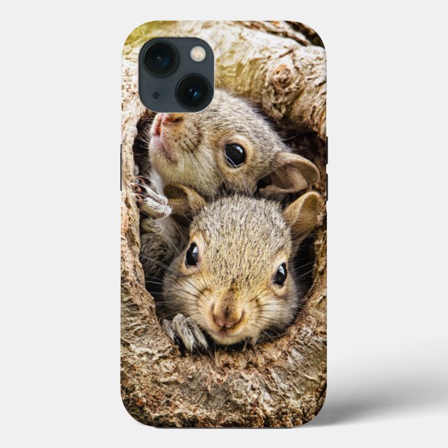 Niedliche Kleintiere | Neugierige Baby-Eichhörnche Case-Mate iPhone Hülle (Rückseite)