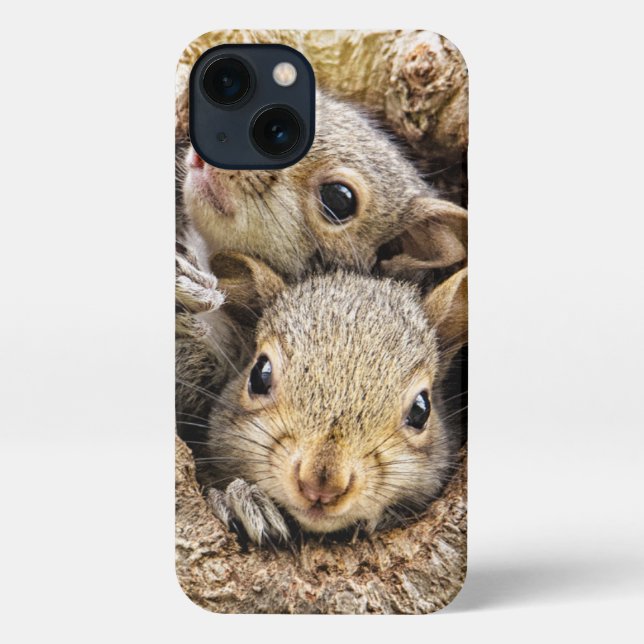 Niedliche Kleintiere | Neugierige Baby-Eichhörnche iPhone Hülle (Rückseite)