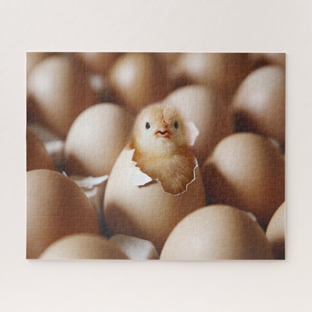 Niedliche Kleintiere | New Baby Chick (Horizontal)