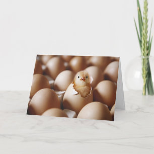 Niedliche Kleintiere New Baby Chick Karte