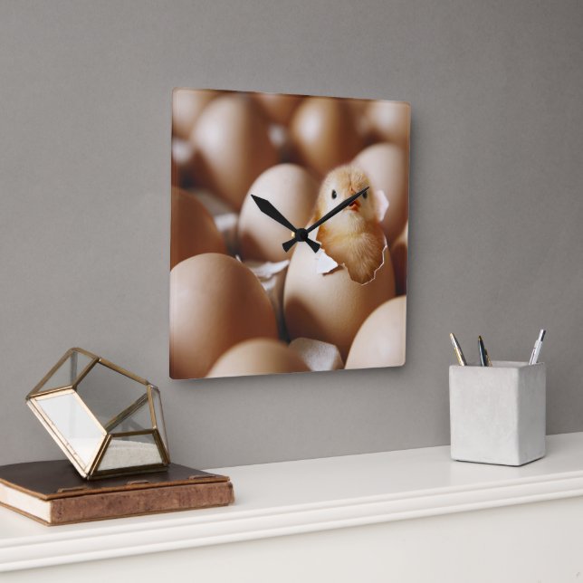 Niedliche Kleintiere | New Baby Chick Quadratische Wanduhr (Büro)