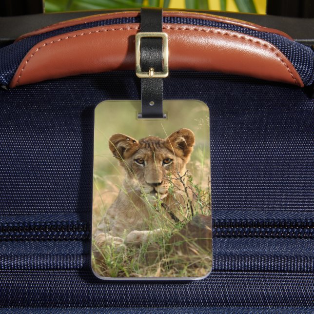 Niedliche Kleintiere | Niedlich Baby Lion Cub Gepäckanhänger (Vorderseite Insitu 2)