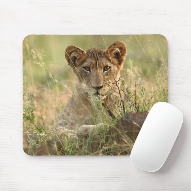 Niedliche Kleintiere | Niedlich Baby Lion Cub Mousepad (Mit Mouse)