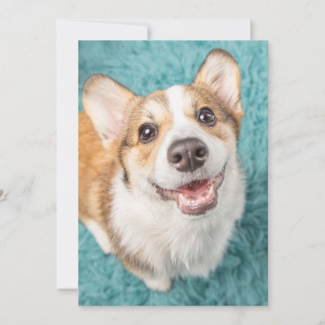 Niedliche Kleintiere | Niedlich Corgi Puppy Smile Dankeskarte (Vorderseite)