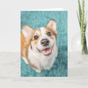 Niedliche Kleintiere   Niedlich Corgi Puppy Smile Karte