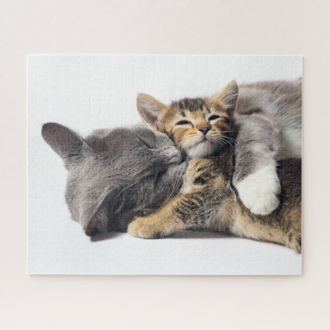 Niedliche Kleintiere | Niedlich Kitten Hug (Horizontal)