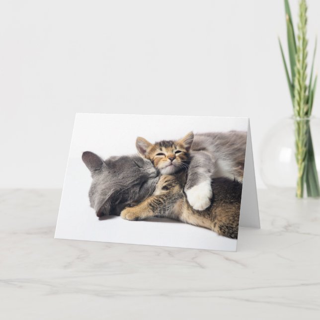 Niedliche Kleintiere | Niedlich Kitten Hug Karte (Vorderseite)