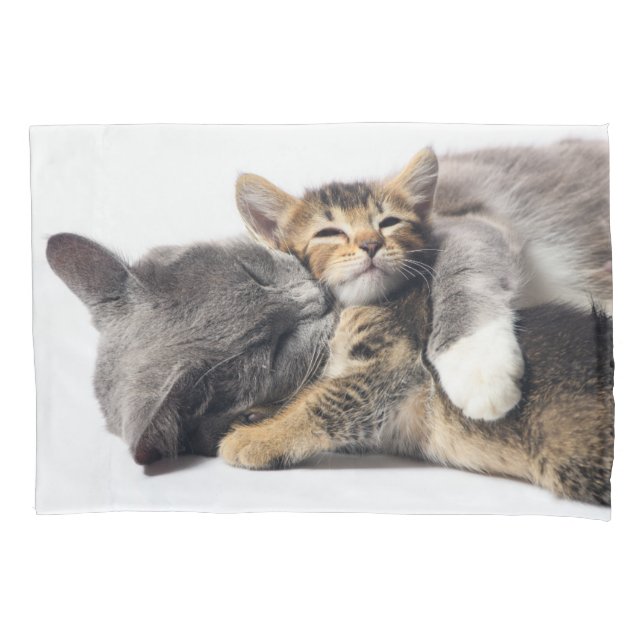 Niedliche Kleintiere | Niedlich Kitten Hug Kissenbezug (Vorderseite)